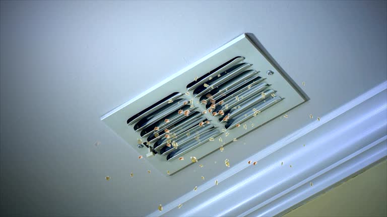 Best Air Duct Cleaning Cost  in Setauket, NY