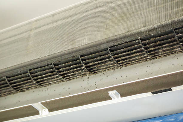 Best Dryer Vent Cleaning Services  in Setauket, NY